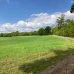 Een zandpad aan de rand van een akker