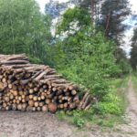 Gehakt hout in een bos