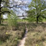 Een pad over de heide