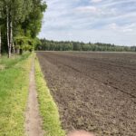 Een pad langs een akker