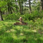 Een oud apparaat in het bos