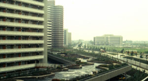 Dunantstraat; Daktuin (Cock de Vries)