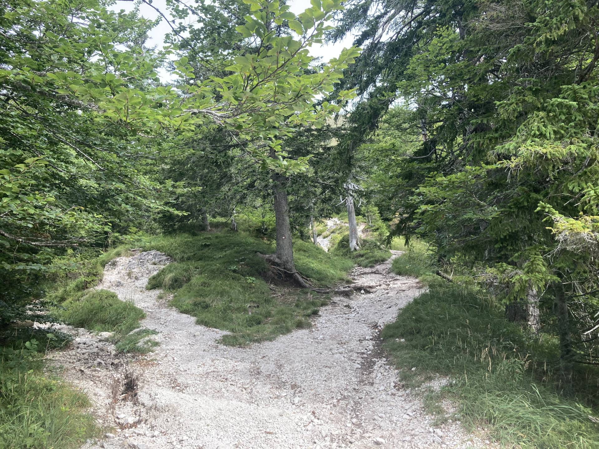 Onderweg naar Kahlkogel