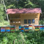 Een heleboel fraaie bijenkasten