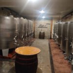 Wijn proeverij bij Petric in Slap