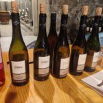 Wijn proeverij bij Petric in Slap