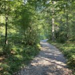 Onderweg naar Wasserfalle im Martuljek