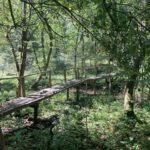 Een leuk bruggetje tijdens Vodca Unco Pot Grabnarca