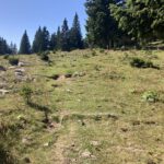 Onderweg naar Velika Stan