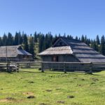 Een paar leuke bijzondere huisjes