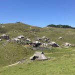 Een overzicht over Velika Stan