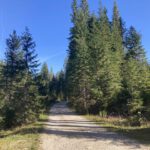 Onderweg naar Debela Pec