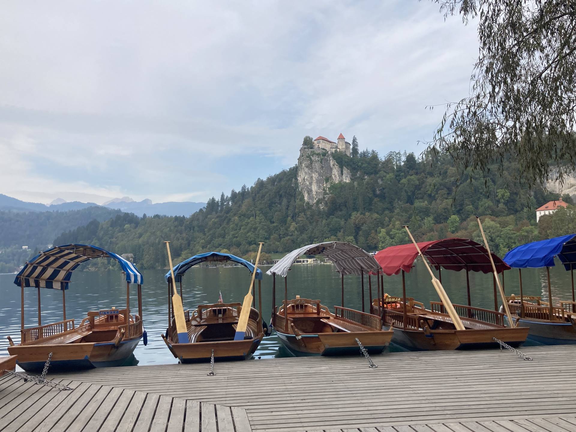 De bootjes voor naar het eilandje in meer Bled