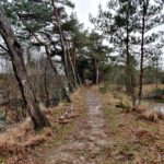 Een leuk paadje de heide op