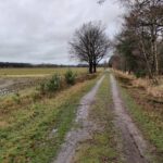 Een karrespoor op de grens van Nederland/België