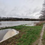 Heel veel water op de akker