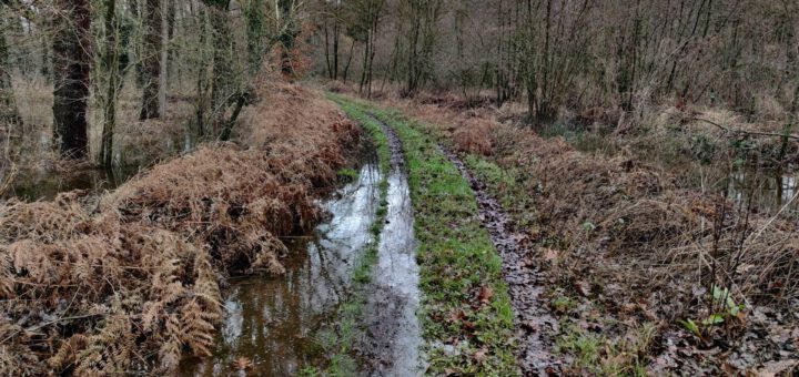 Een ondergelopen karrespoor