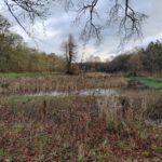 Een mooi natuurgebied