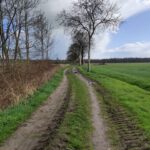 Een goed begaanbaar karrespoor