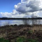 Een vennetje en een hele fraaie lucht