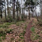 Een fraai paadje door het bos