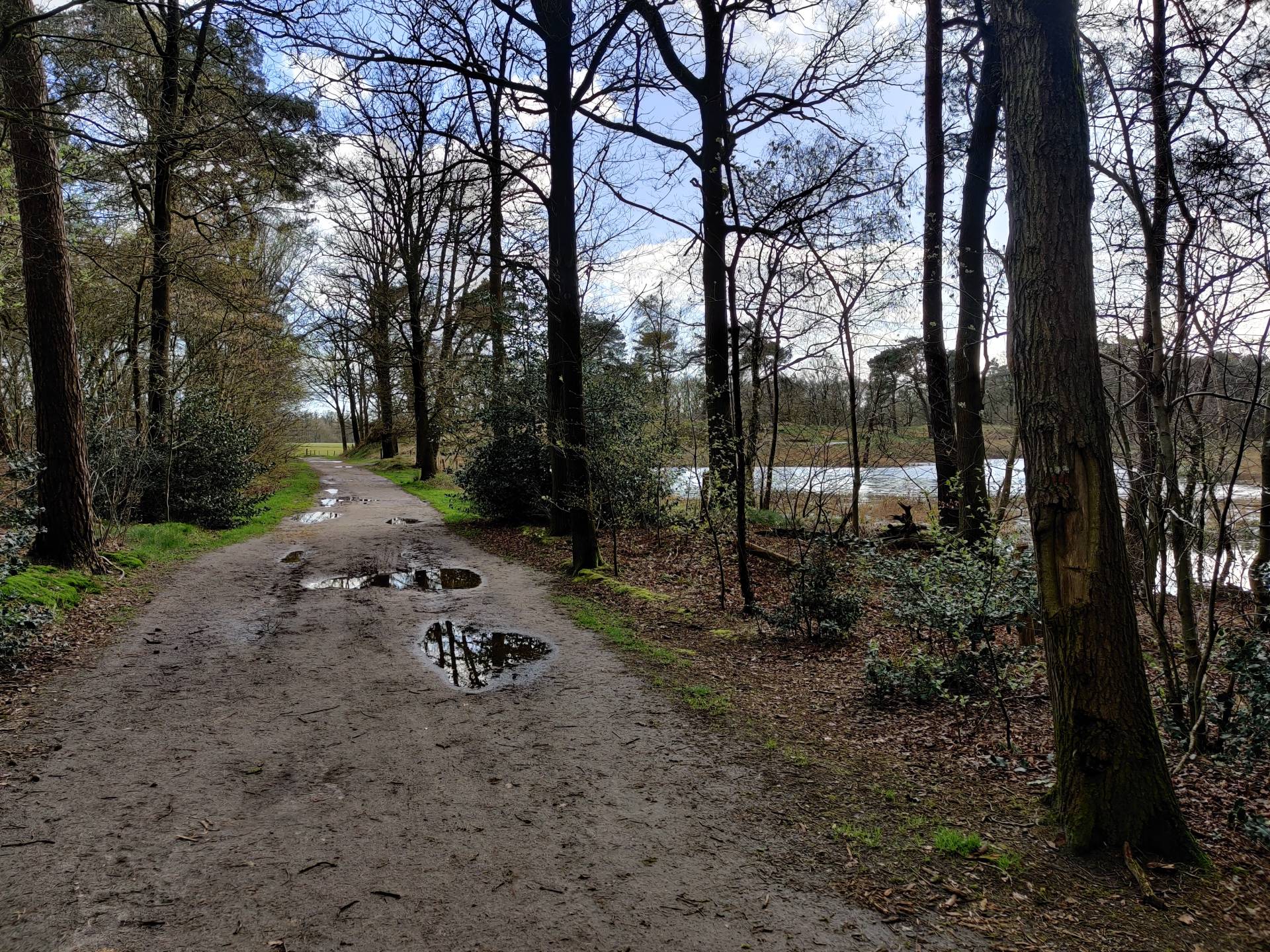 Een mooi bospad