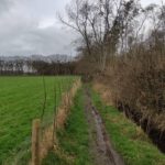 Een smal maar erg modderig paadje