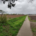 Een leuk en smal fietspad