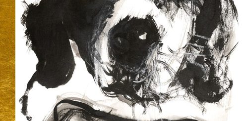 Boek : De Chabotten - Gezinsverpakking