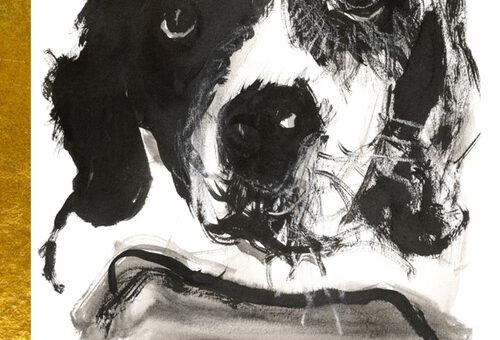 Boek : De Chabotten - Gezinsverpakking