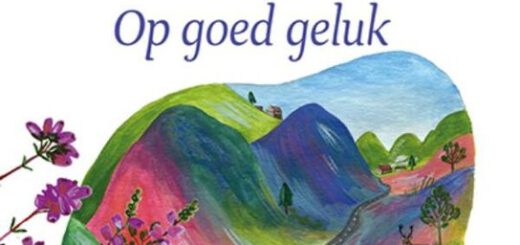 Boek : Jenny Colgan - Op goed geluk