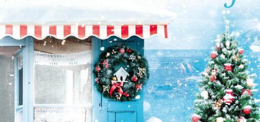 Boek : Jenny Colgan - Winter in de kleine bakkerij