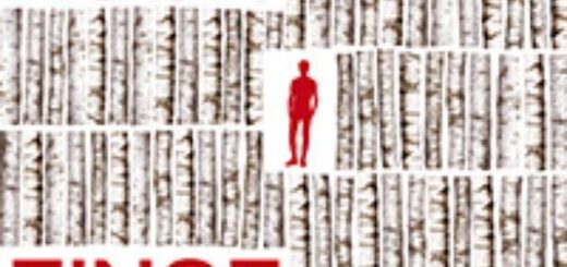 Boek : Herman Koch - Finse dagen