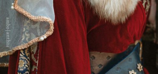 Boek : Lydia Rood - De maagd van Rosendael