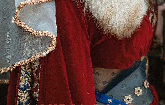 Boek : Lydia Rood - De maagd van Rosendael