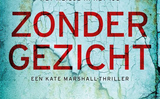 Boek : Robert Bryndza - Zonder gezicht