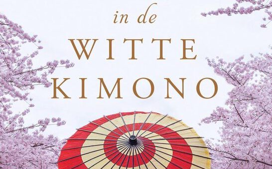 Boek : Ana Johns - Het meisje in de witte kimono