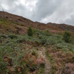 Een heel leuk wandelpad