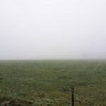 Mistig uitzicht over de akker