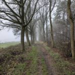 Een leuke weg op de rand van het bos en de akker
