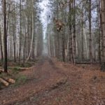 Een leuke weg in het bos