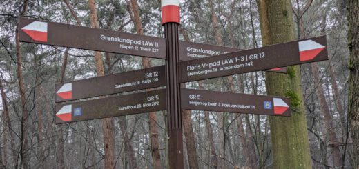 Een richtingaanwijzer met diverse paden