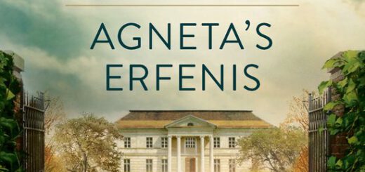 Boek : Corina Bomann - Agneta's Erfenis