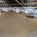 The Balvenie Distillery; The malting floor