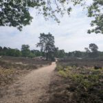 Een paadje over de heide