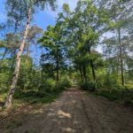 Een leuk bosweggetje