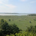 Uitzicht vanaf een uitkijktoren