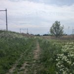 Een paadje langs het spoor