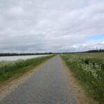 Een weggetje door een polder