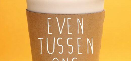 Boek : Jane Fallon - Even tussen ons
